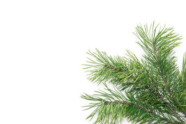 Similar image 5772516