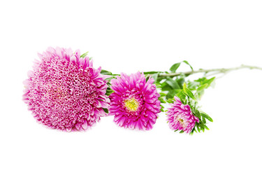 Similar image 5772519