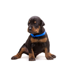 Similar image 5772562