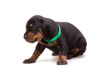 Similar image 5772566