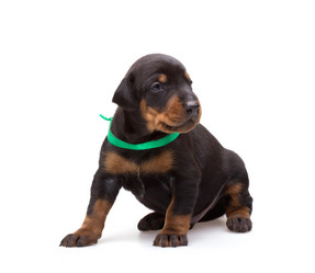 Similar image 5772568