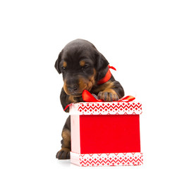 Similar image 5772591