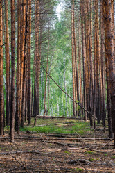 Similar image 5772702