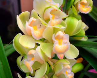 Similar image 5772705