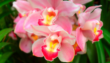 Similar image 5772706