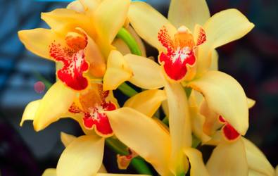 Similar image 5772707