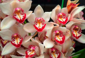 Similar image 5772711