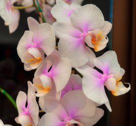 Similar image 5772715