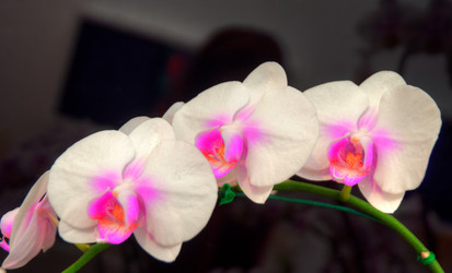 Similar image 5772716