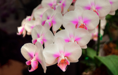 Similar image 5772717