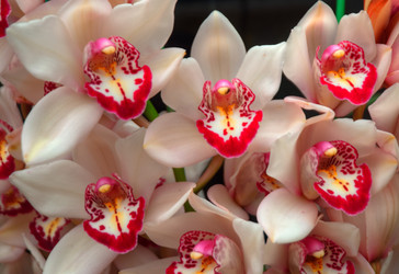 Similar image 5772719