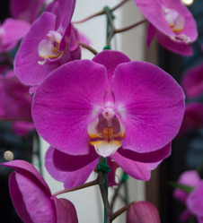 Similar image 5772721