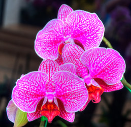 Similar image 5772722