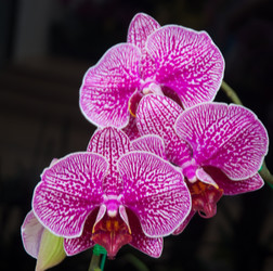 Similar image 5772723