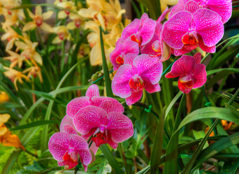 Similar image 5772725