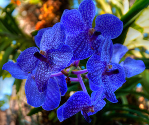 Similar image 5772728