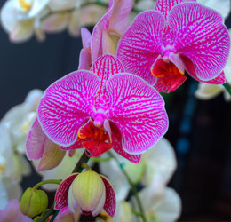 Similar image 5772731