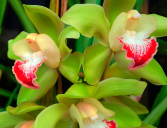 Similar image 5772733