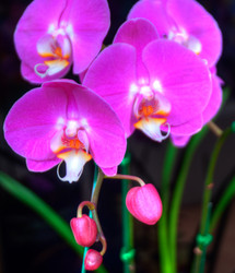 Similar image 5772734