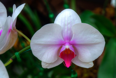 Similar image 5772736