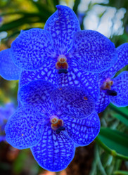 Similar image 5772740