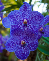 Similar image 5772741