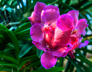 Similar image 5772743