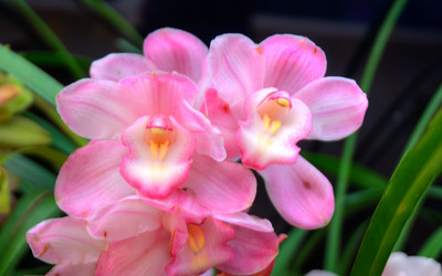 Similar image 5772745