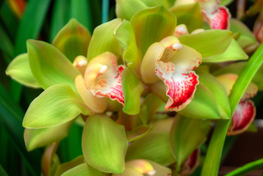 Similar image 5772746