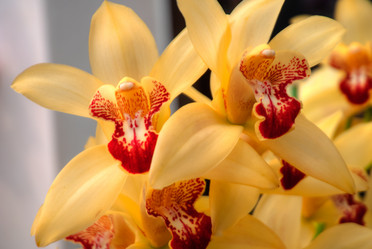 Similar image 5772748