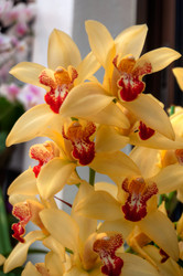 Similar image 5772749