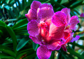 Similar image 5772750