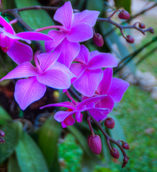 Similar image 5772751