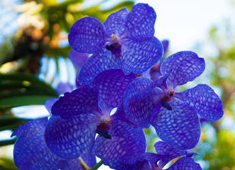 Similar image 5772753