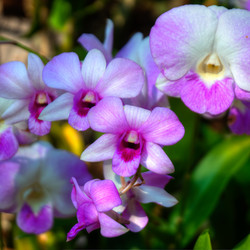 Similar image 5772755