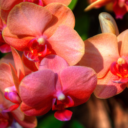 Similar image 5772756