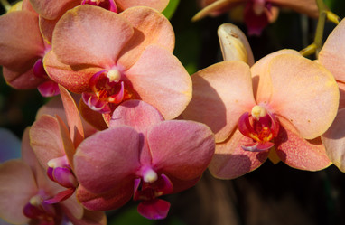 Similar image 5772757