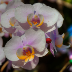 Similar image 5772758