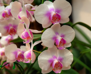 Similar image 5772760