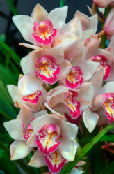 Similar image 5772761