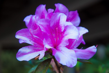 Similar image 5772763