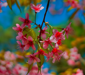 Similar image 5772825