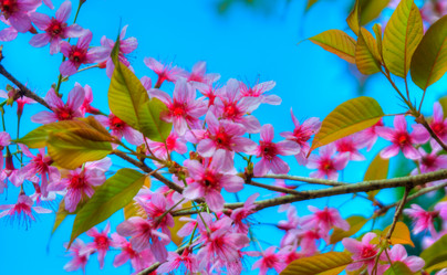 Similar image 5772827