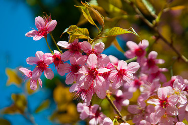 Similar image 5772828