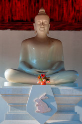 Similar image 5772832