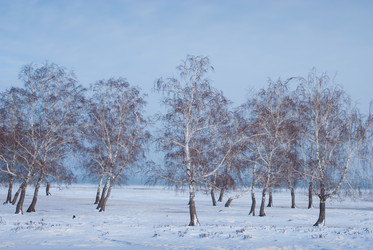 Similar image 5773096