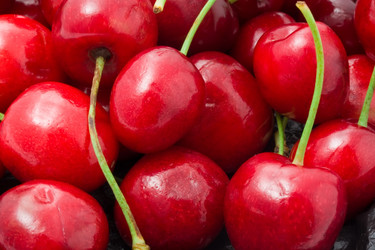 Similar image 5773607