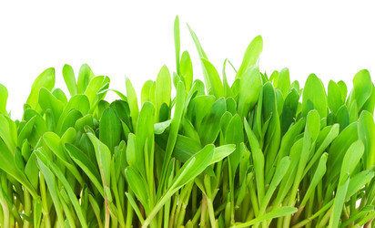 Similar image 5773611