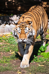 Similar image 5773621