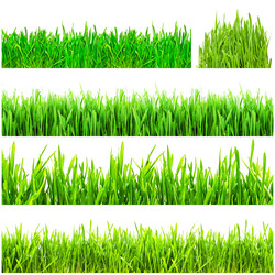 Similar image 5773624